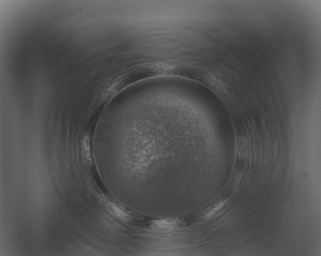 X0000057570238200509231233