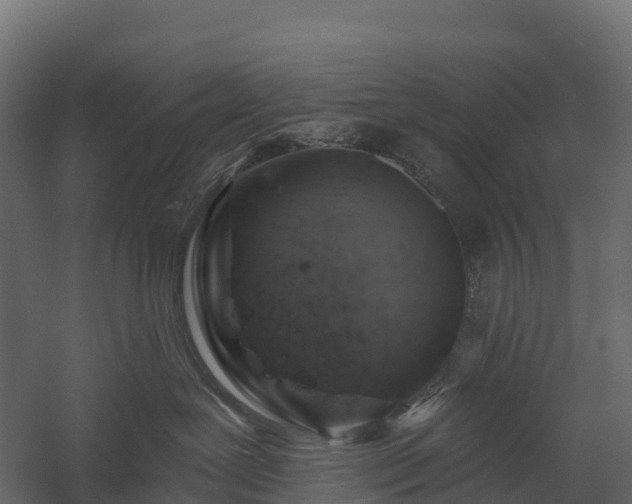 X0000057570239200509231233