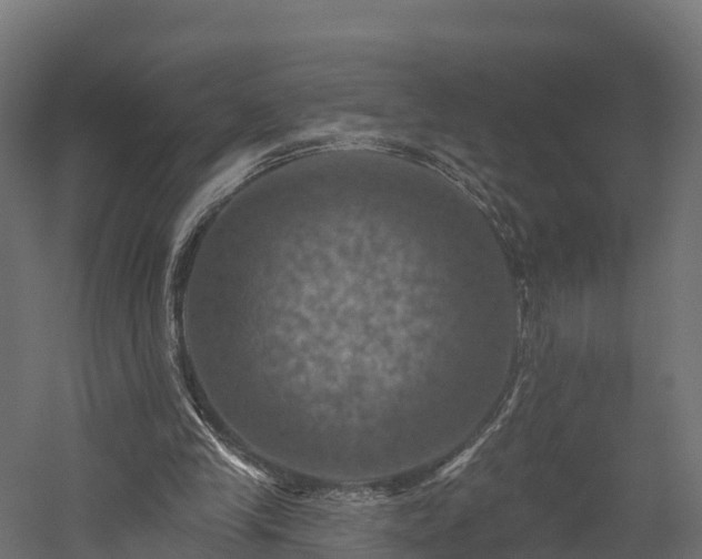 X0000057570245200509231233