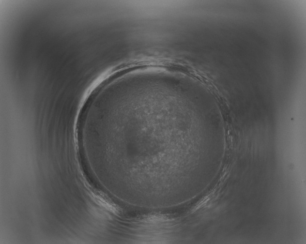 X0000057570246200509231233