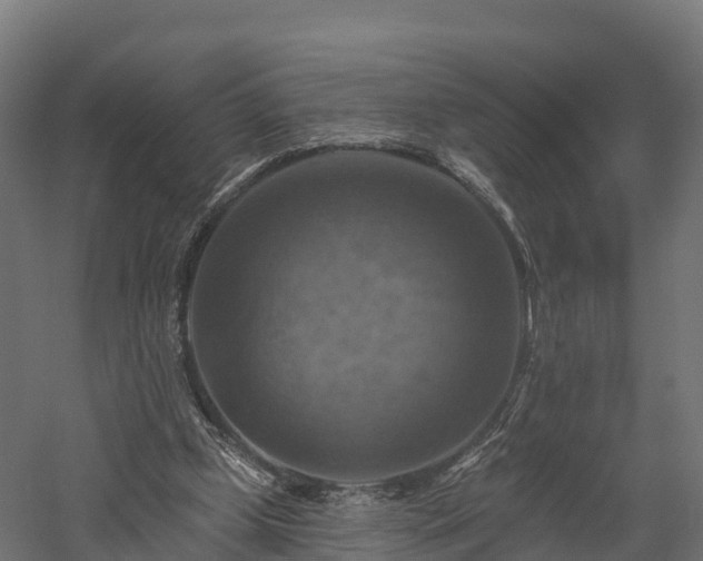 X0000057570249200509231233