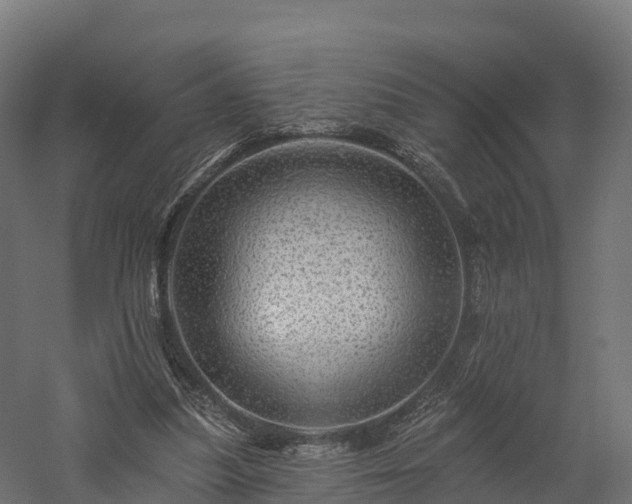 X0000057570251200509231233