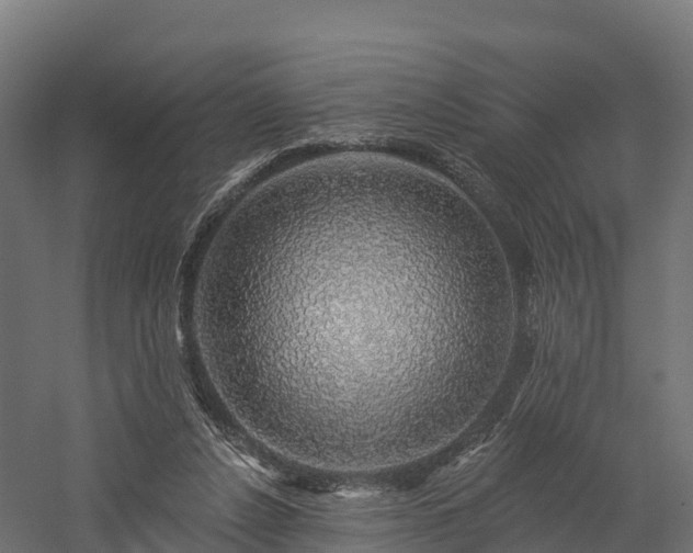 X0000057570256200509231233