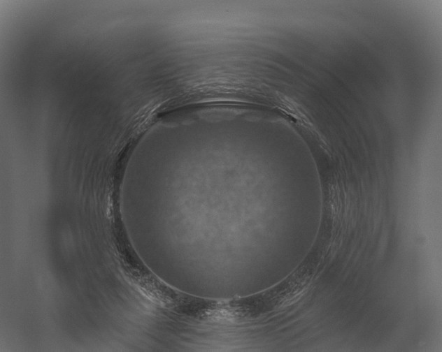 X0000057570259200509231233