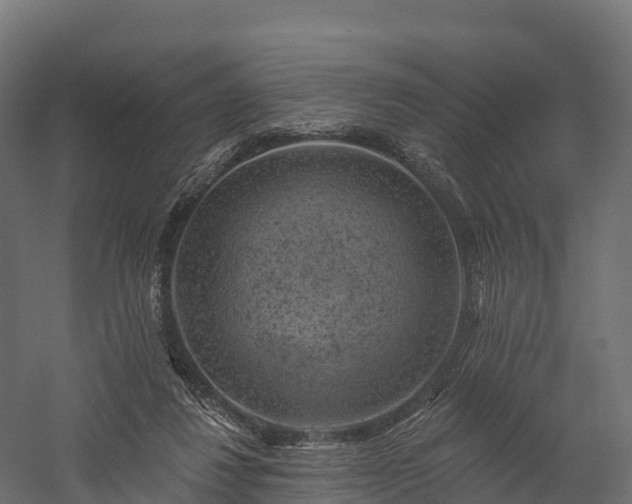 X0000057570260200509231233