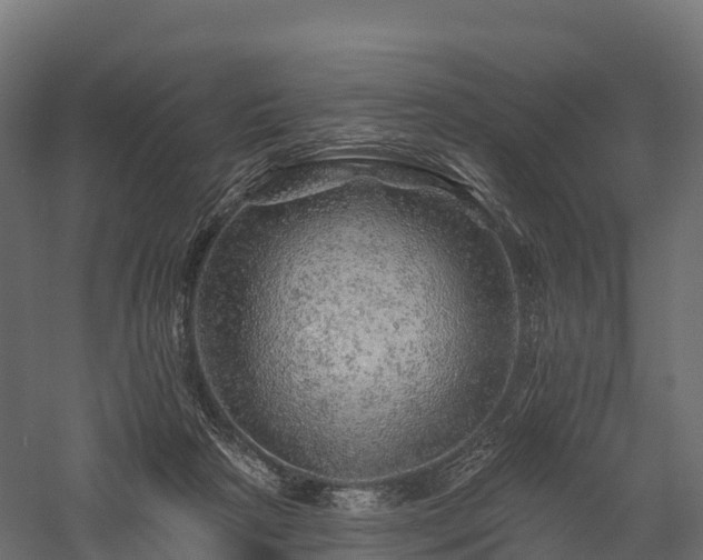 X0000057570265200509231233