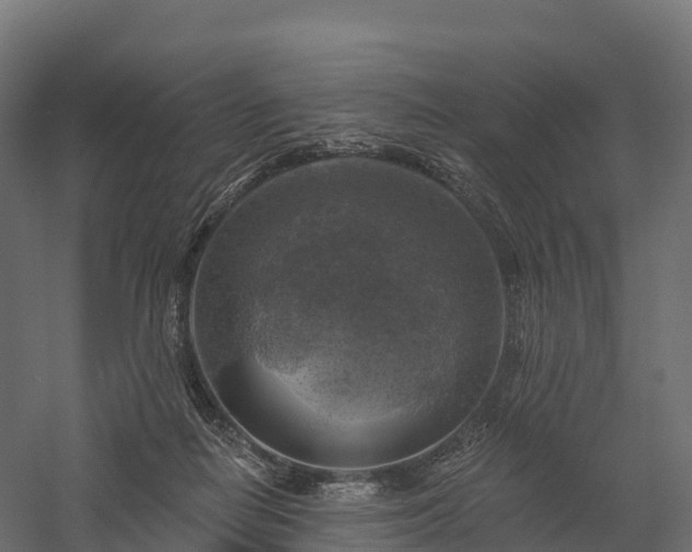 X0000057570266200509231233