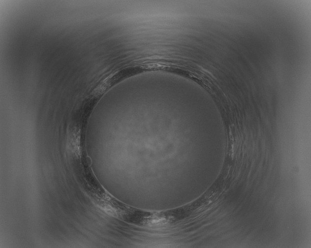 X0000057570267200509231233