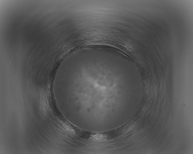 X0000057570269200509231233