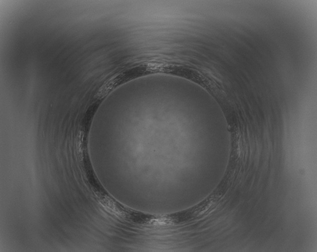 X0000057570275200509231233