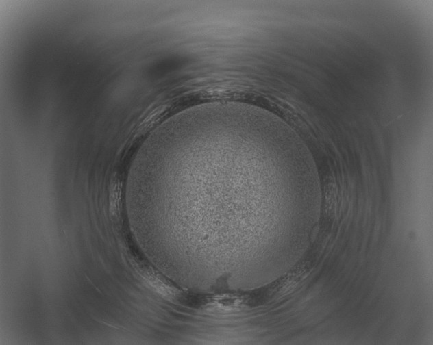 X0000057570278200509231233