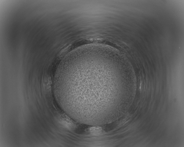X0000057570279200509231233