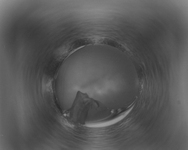 X0000057570286200509231233
