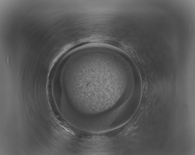 X0000057570292200509231233