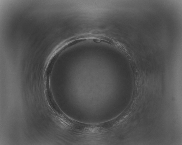 X0000057570295200509231233