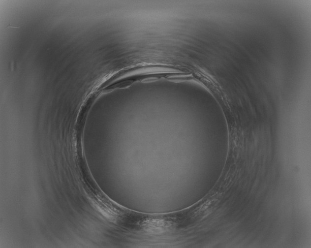 X0000057570298200509231232