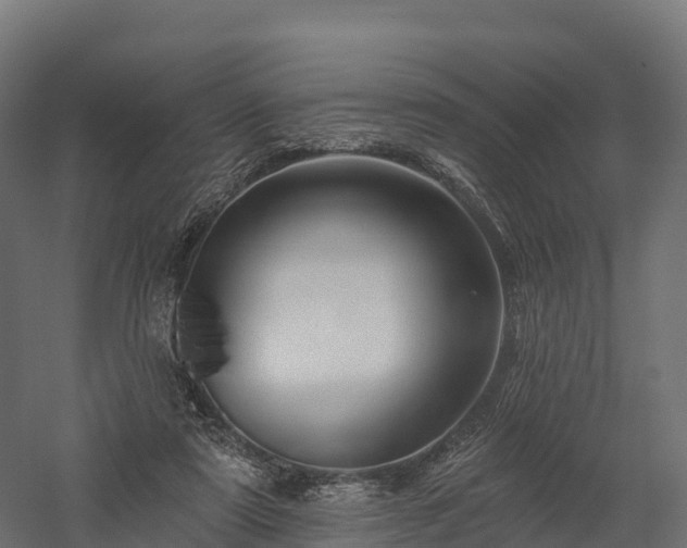 X0000057570307200509231232