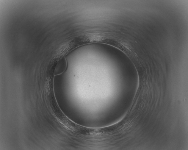 X0000057570311200509231232