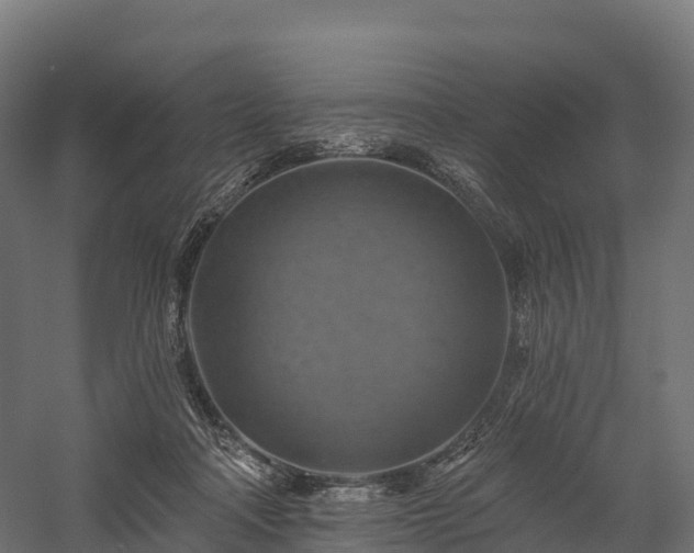 X0000057570314200509231232