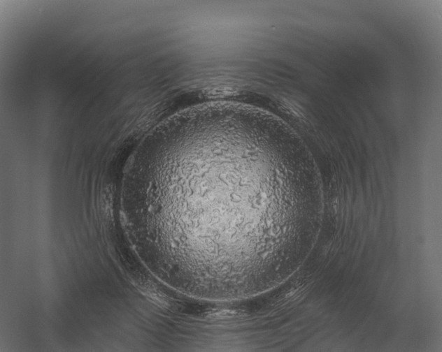 X0000057570315200509231232
