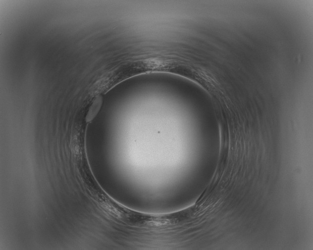 X0000057570317200509231232
