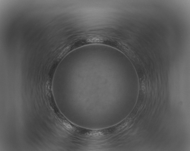 X0000057570322200509231232