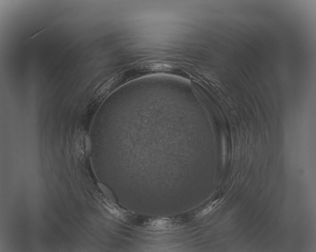 X0000057570325200509231232