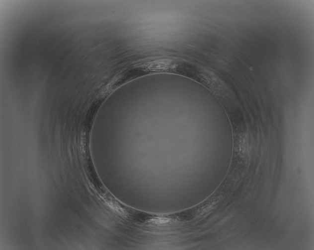 X0000057570326200509231232