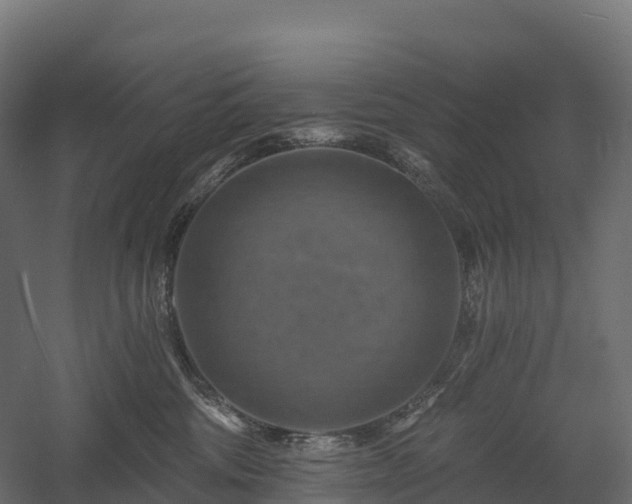 X0000057570330200509231232