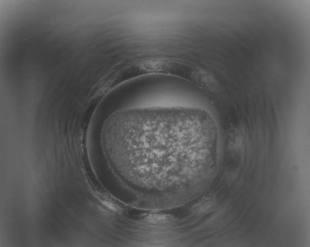X0000057570332200509231232