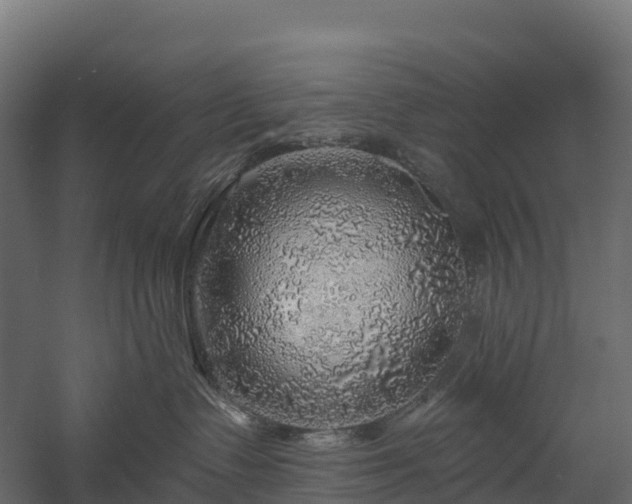 X0000057570335200509231232