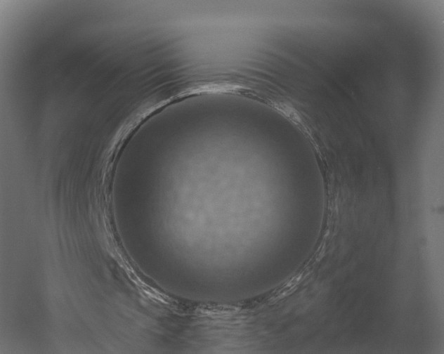 X0000057570337200509231231