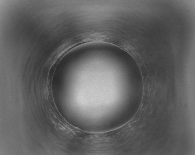 X0000057570338200509231231