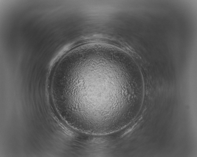 X0000057570341200509231231