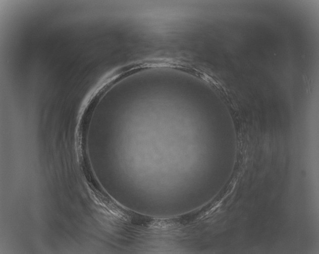 X0000057570343200509231231