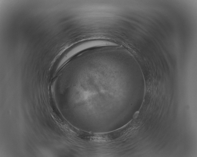 X0000057570347200509231231