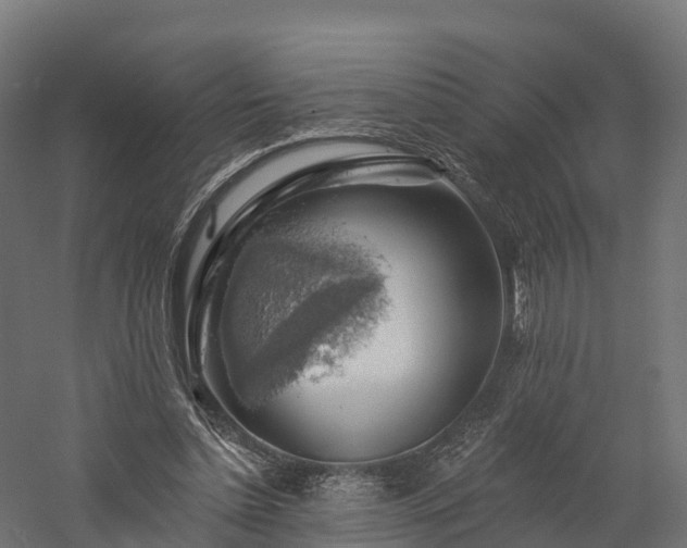 X0000057570348200509231231