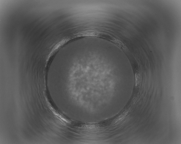 X0000057570349200509231231