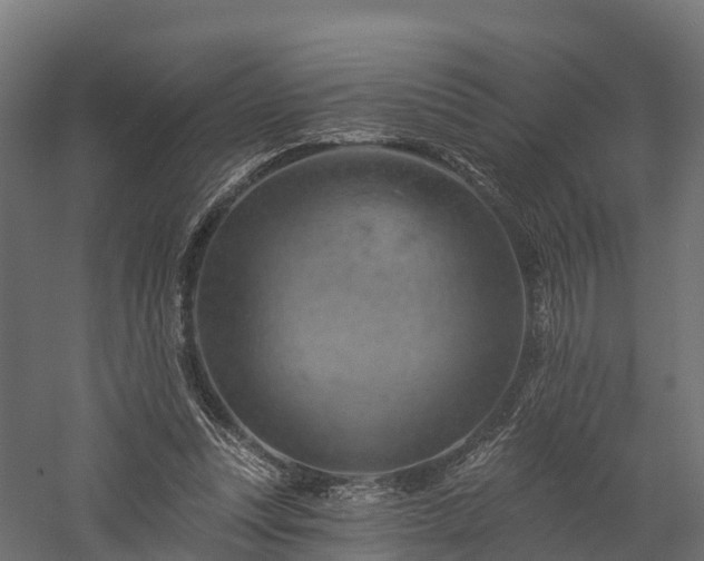 X0000057570351200509231231