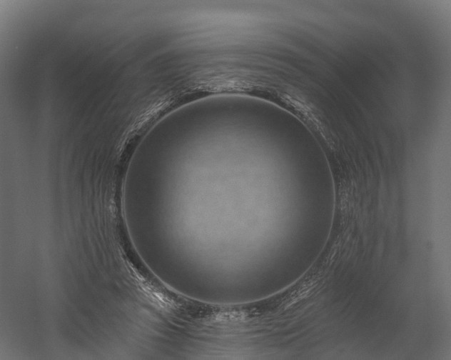 X0000057570353200509231231