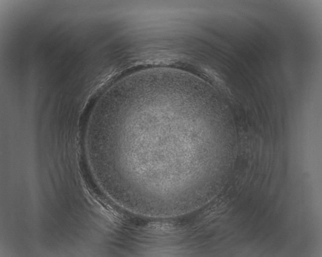 X0000057570354200509231231