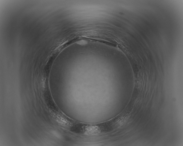 X0000057570355200509231231