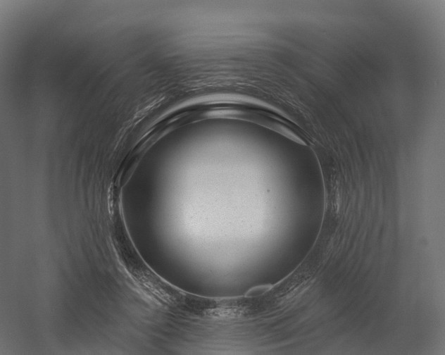 X0000057570356200509231231