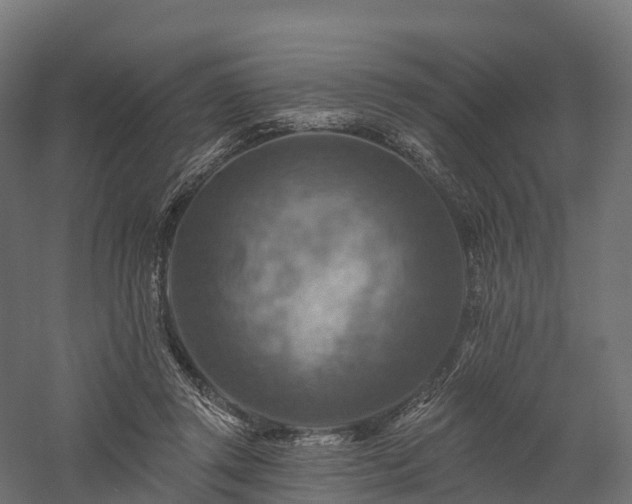 X0000057570357200509231231