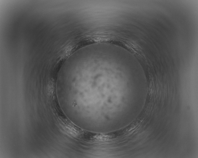 X0000057570367200509231232