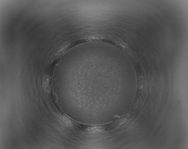 X0000057570378200509231232