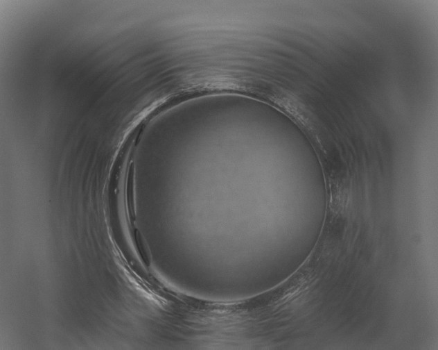X0000057570390200509231231