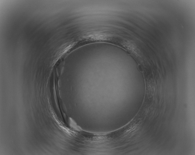 X0000057570398200509231231