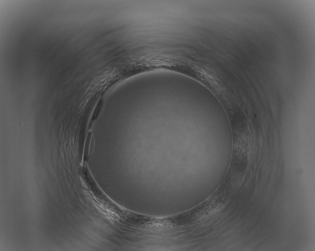 X0000057570402200509231231