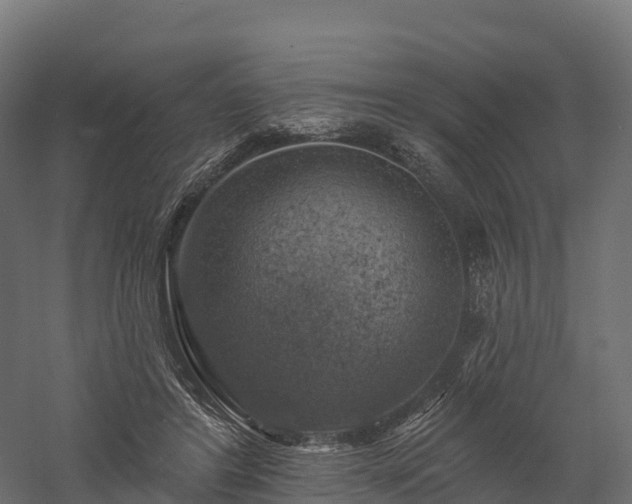X0000057570404200509231231